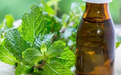 Yuk Intip Tanaman Herbal Mengurangi Nyeri Leher dan Gejala Sakit Leher