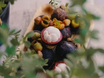 Manfaat Kulit Manggis Yang Jarang Diketahui