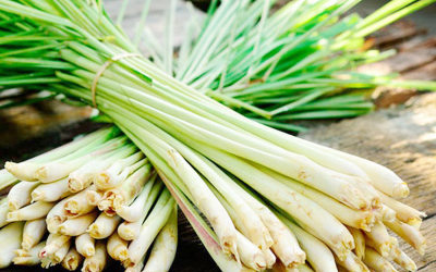 Daun Serai, Tanaman Herbal Yang Mudah Didapat Dan Kaya Akan Manfaat.